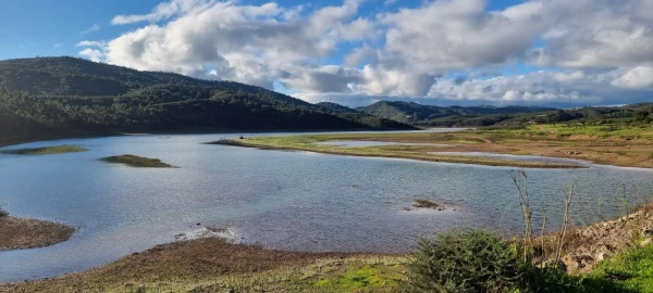 Terreno para Venda em São Bartolomeu de Messines