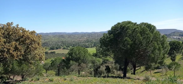 Terreno para Venda em São Bartolomeu de Messines