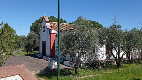 Terreno para Venda em São Bartolomeu de Messines