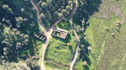 Terreno para Venda em São Bartolomeu de Messines