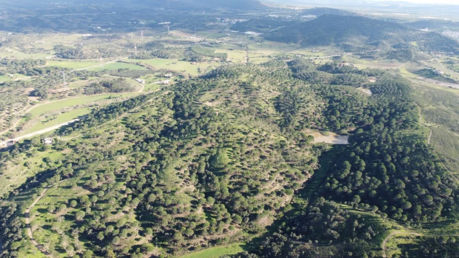 Terreno para Venda em São Bartolomeu de Messines Foto 11