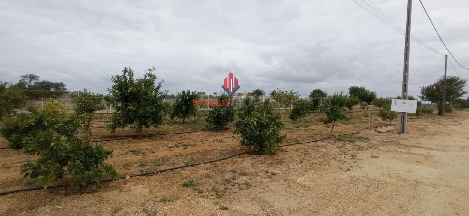 Terreno para Venda em Guia Foto 10