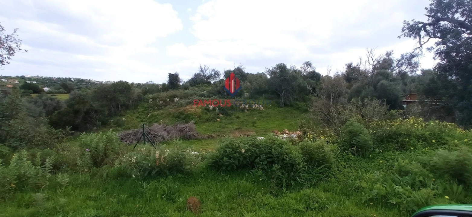 Terreno para Venda em Guia Foto 8