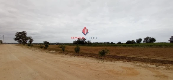 Terreno para Venda em Guia