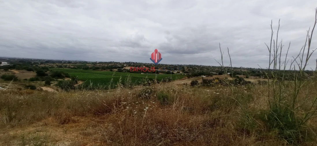 Terreno para Venda em Guia Foto 12