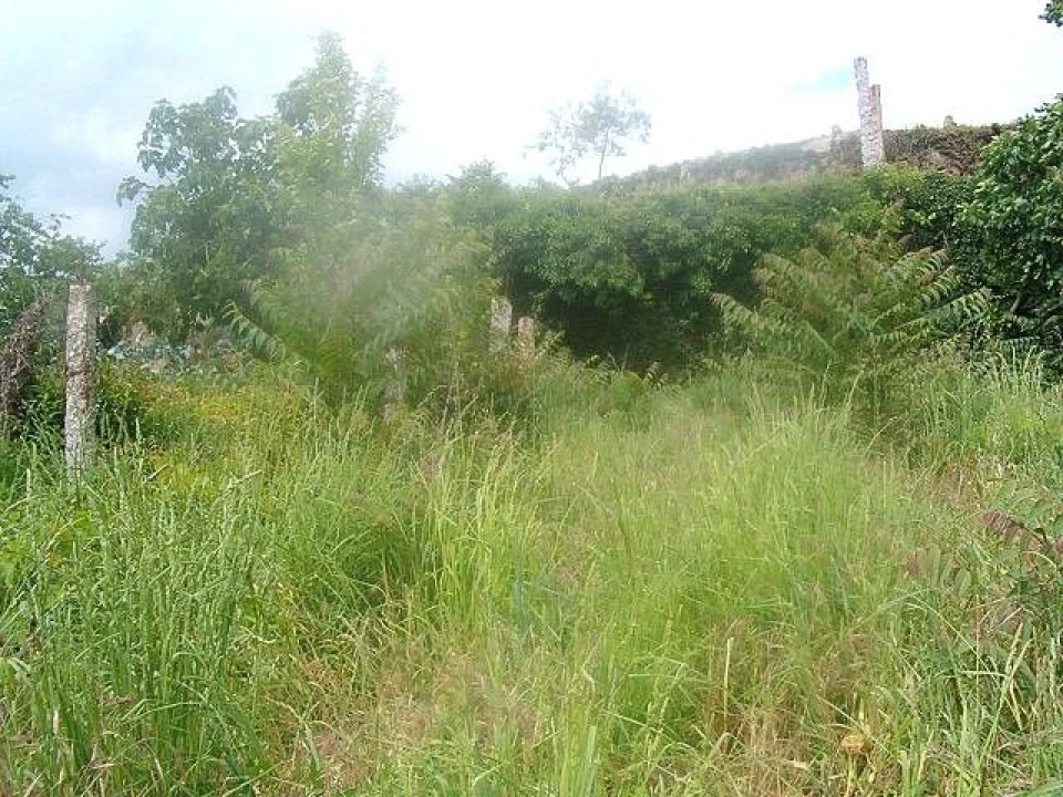 Terreno Agricola ou Rústico para Venda em Arcos de Valdevez (São Paio) e Giela Foto 3