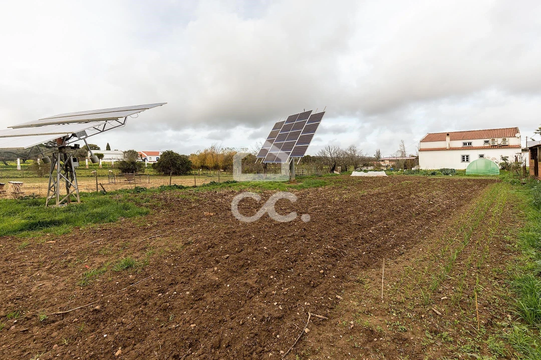 Quinta T7 para Venda em Portel Foto 48