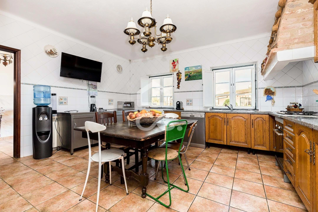 Quinta T7 para Venda em Portel Foto 11