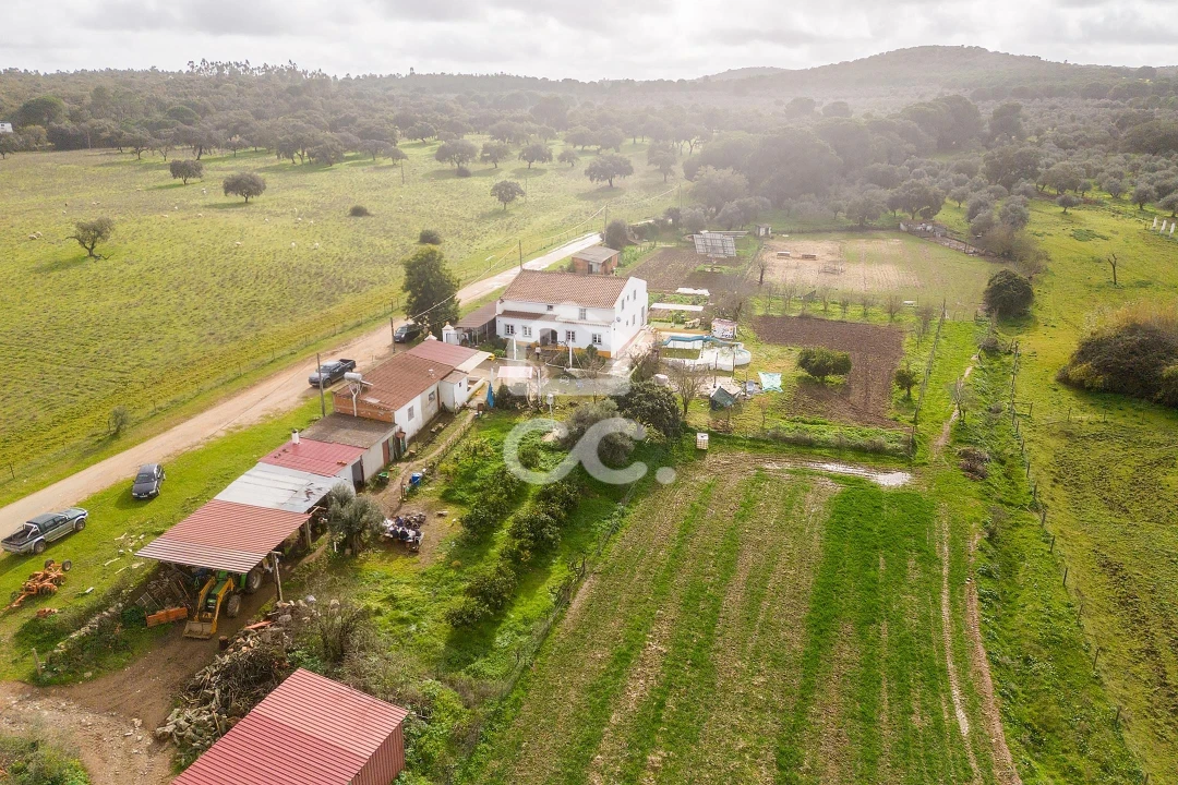 Quinta T7 para Venda em Portel Foto 81