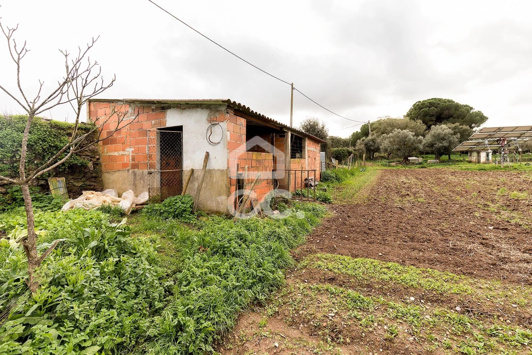 Quinta T7 para Venda em Portel Foto 47