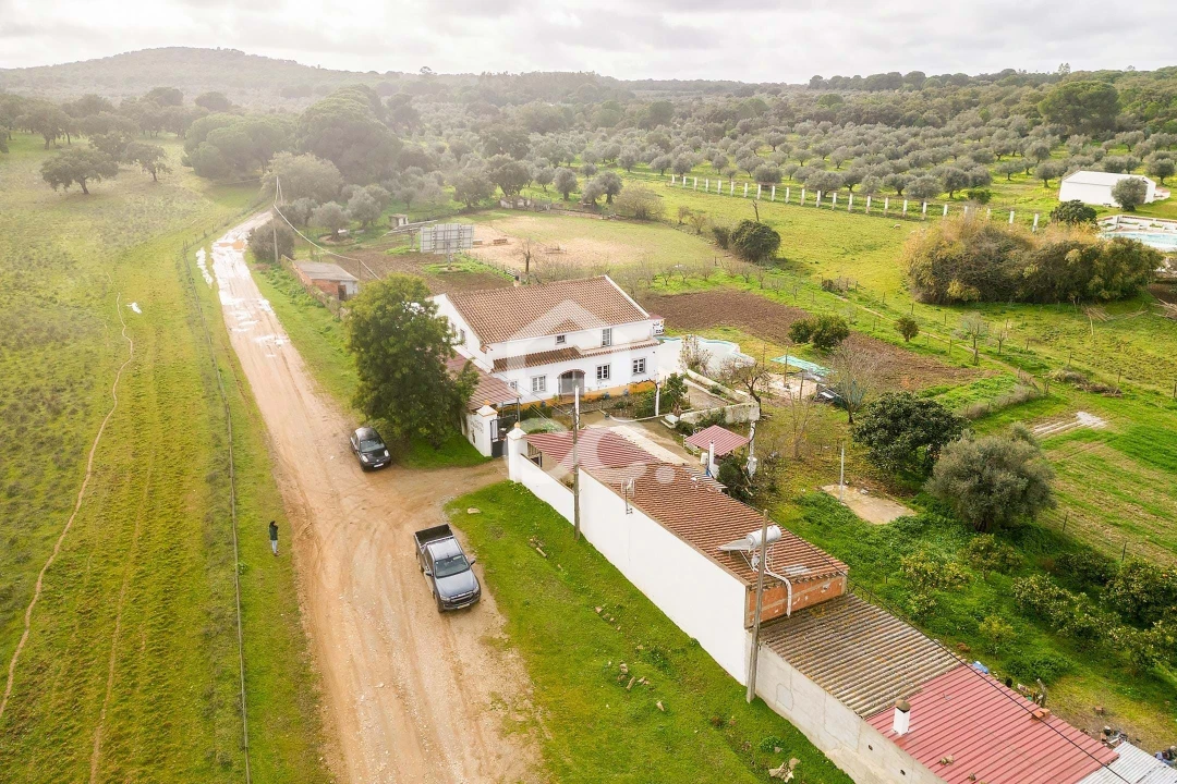 Quinta T7 para Venda em Portel Foto 79