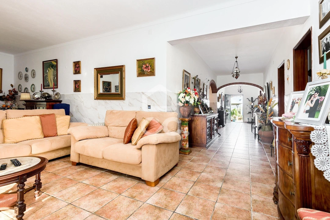 Quinta T7 para Venda em Portel Foto 9