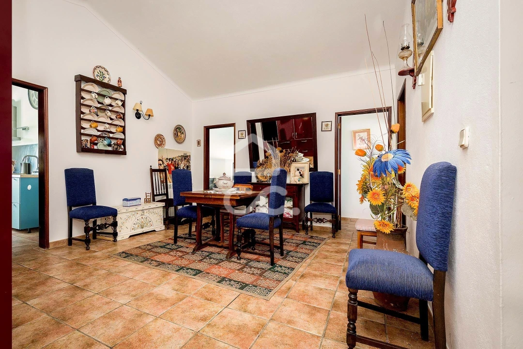 Quinta T7 para Venda em Portel Foto 21