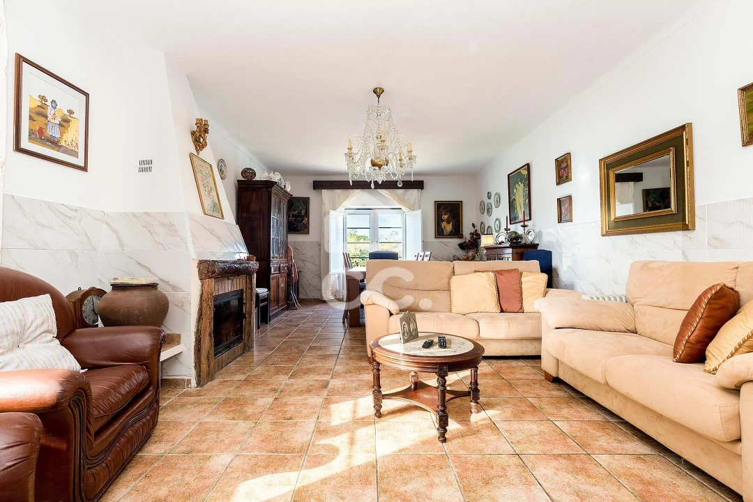 Quinta T7 para Venda em Portel Foto 6