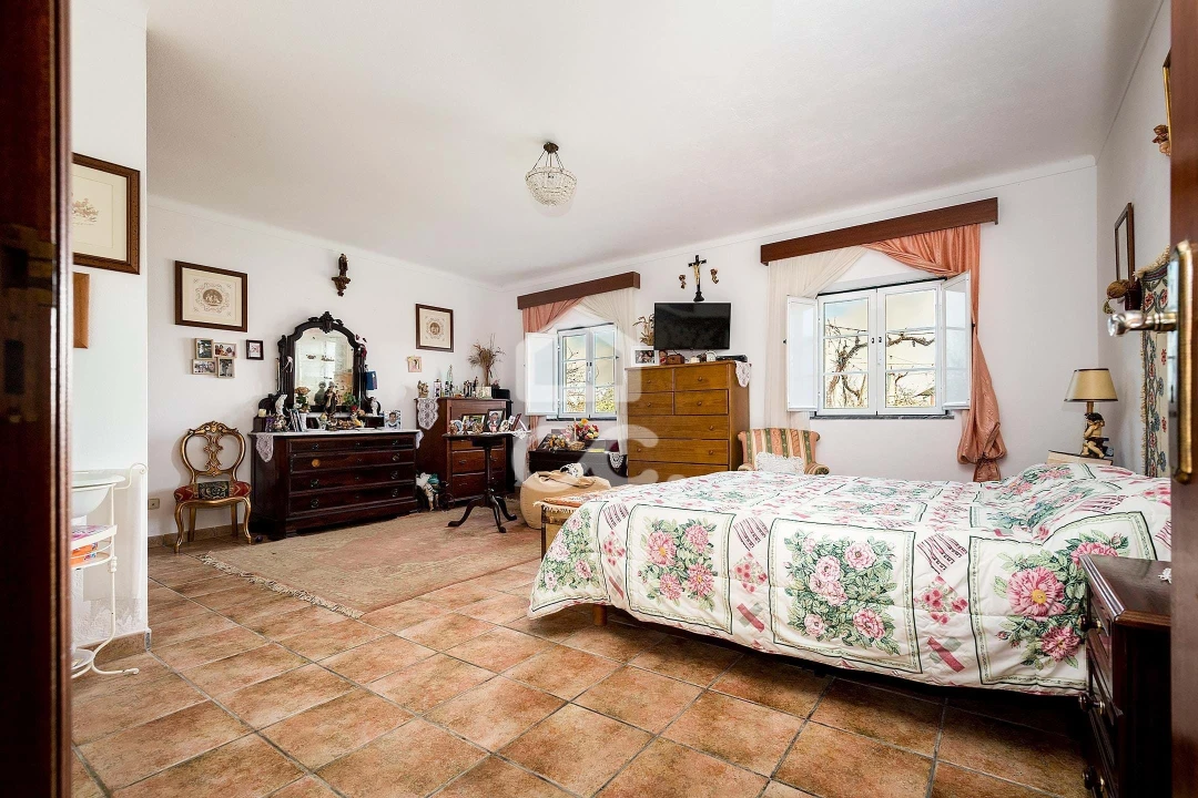 Quinta T7 para Venda em Portel Foto 15