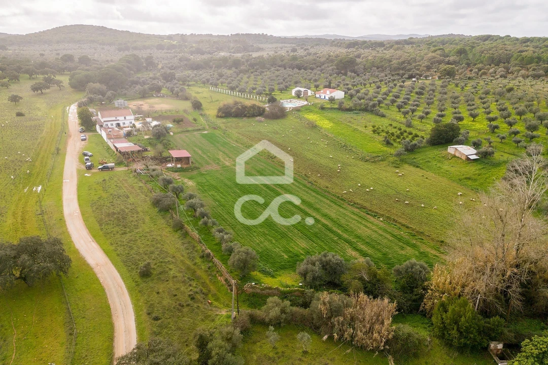 Quinta T7 para Venda em Portel Foto 76