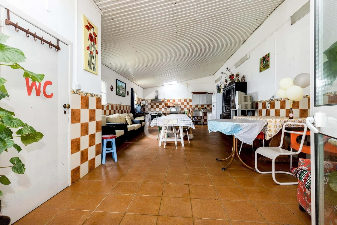 Quinta T7 para Venda em Portel Foto 43