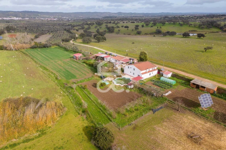 Quinta T7 para Venda em Portel Foto 71