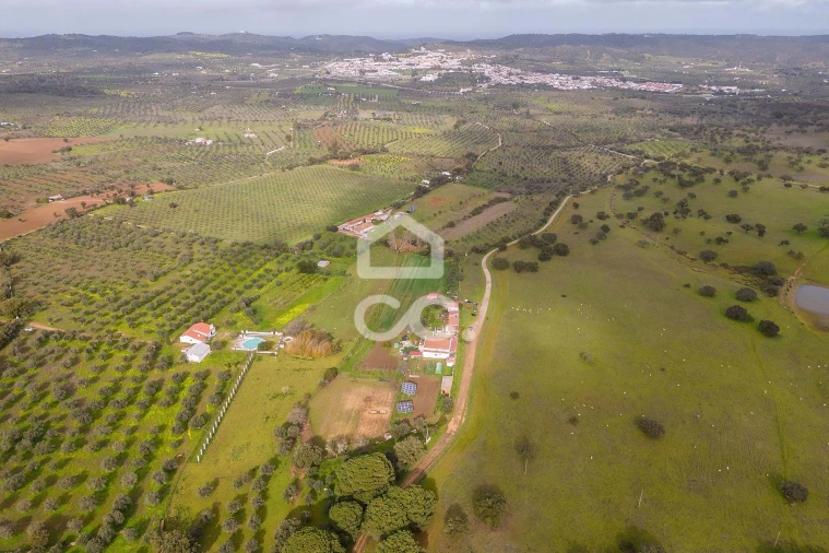 Quinta T7 para Venda em Portel Foto 68