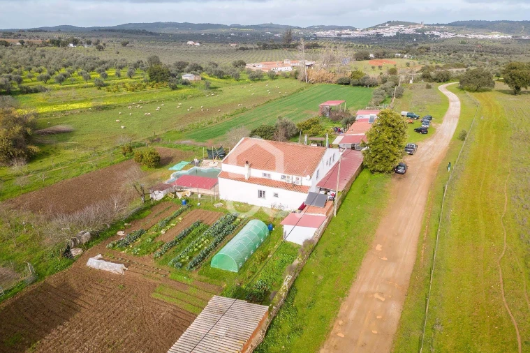 Quinta T7 para Venda em Portel Foto 74