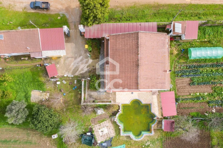 Quinta T7 para Venda em Portel Foto 80