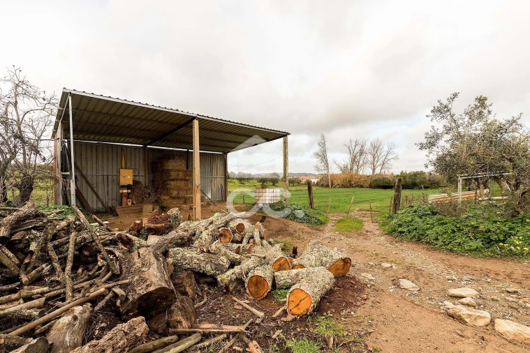 Quinta T7 para Venda em Portel Foto 53