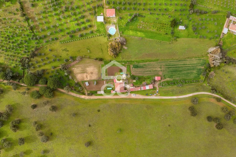 Quinta T7 para Venda em Portel Foto 83