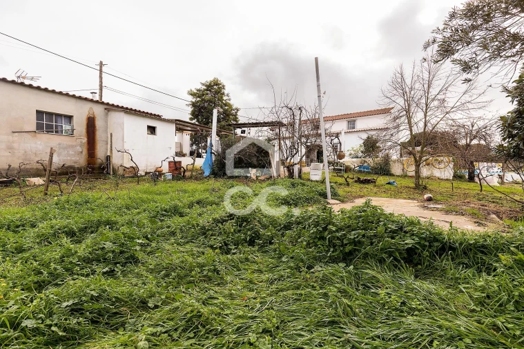 Quinta T7 para Venda em Portel Foto 65