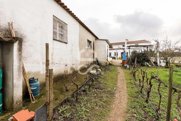 Quinta T7 para Venda em Portel Foto 52