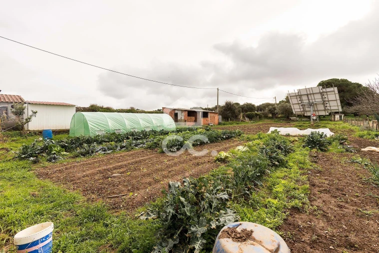 Quinta T7 para Venda em Portel Foto 45