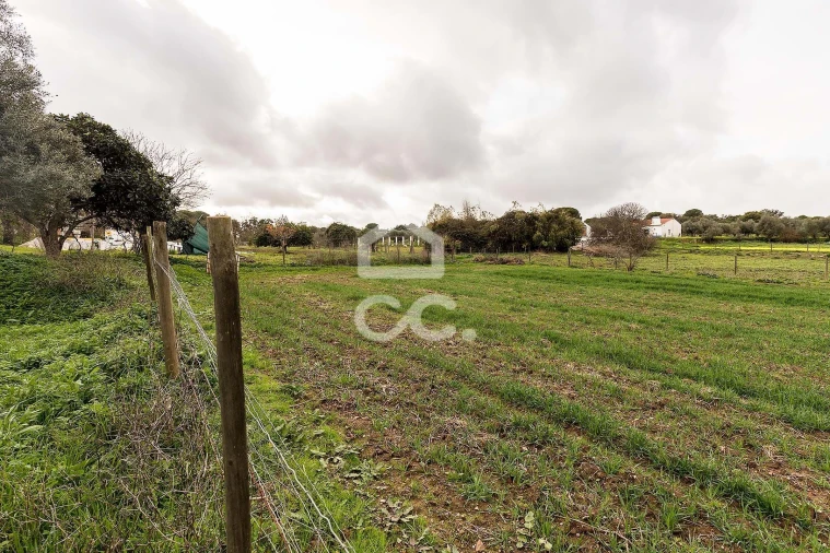 Quinta T7 para Venda em Portel Foto 57