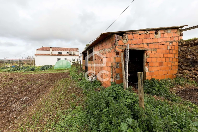 Quinta T7 para Venda em Portel Foto 51