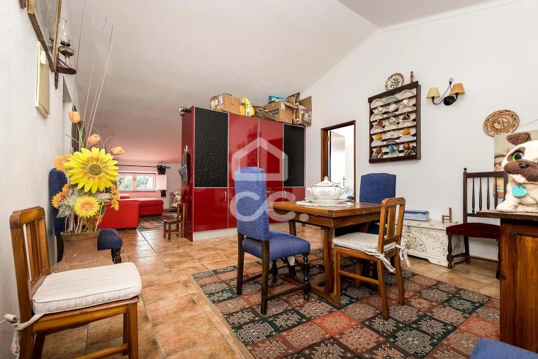 Quinta T7 para Venda em Portel Foto 22