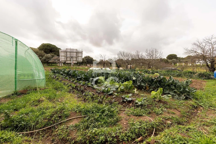 Quinta T7 para Venda em Portel Foto 46
