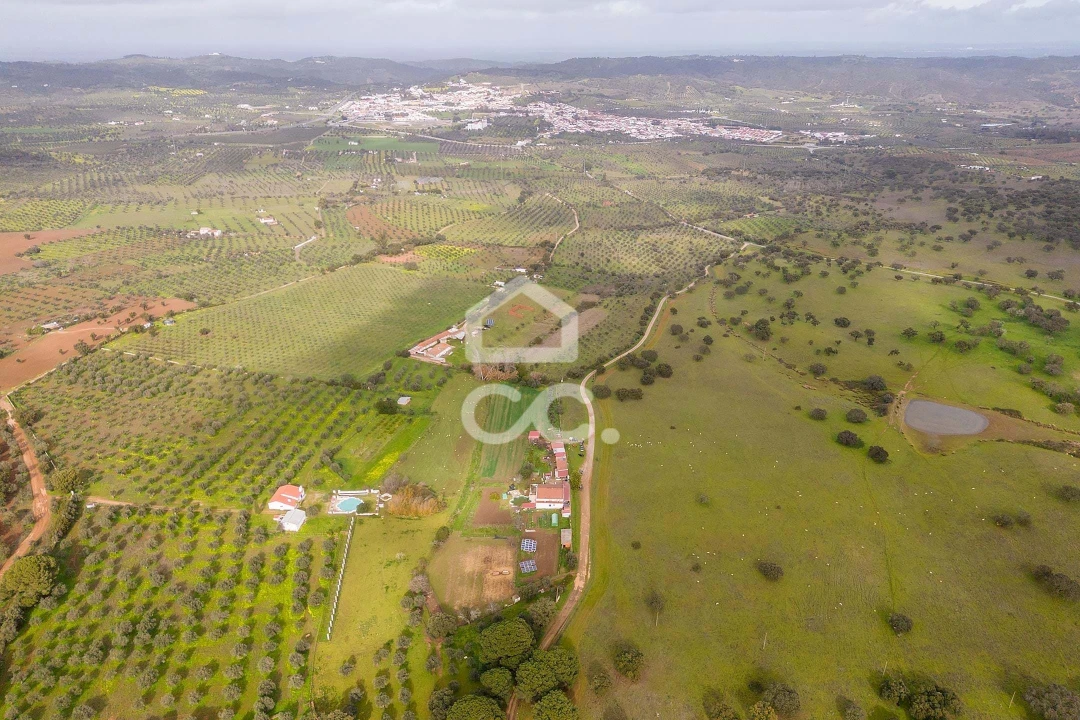 Quinta T7 para Venda em Portel Foto 84