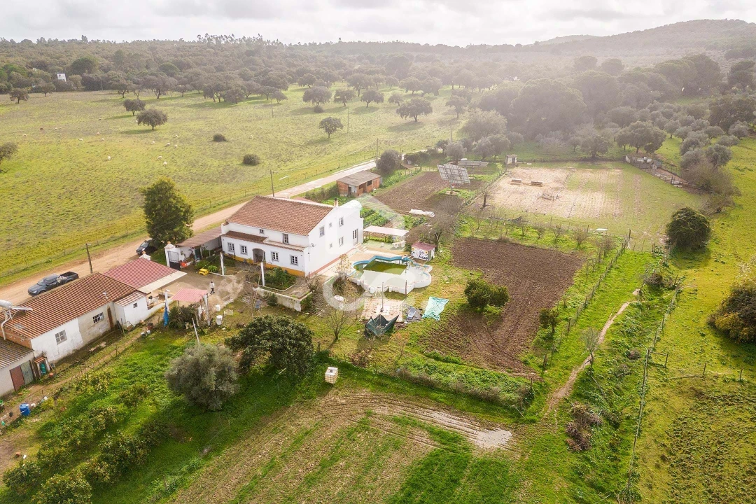 Quinta T7 para Venda em Portel Foto 82