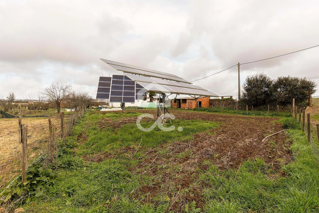 Quinta T7 para Venda em Portel Foto 49