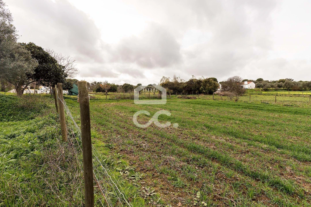 Quinta T7 para Venda em Portel Foto 57