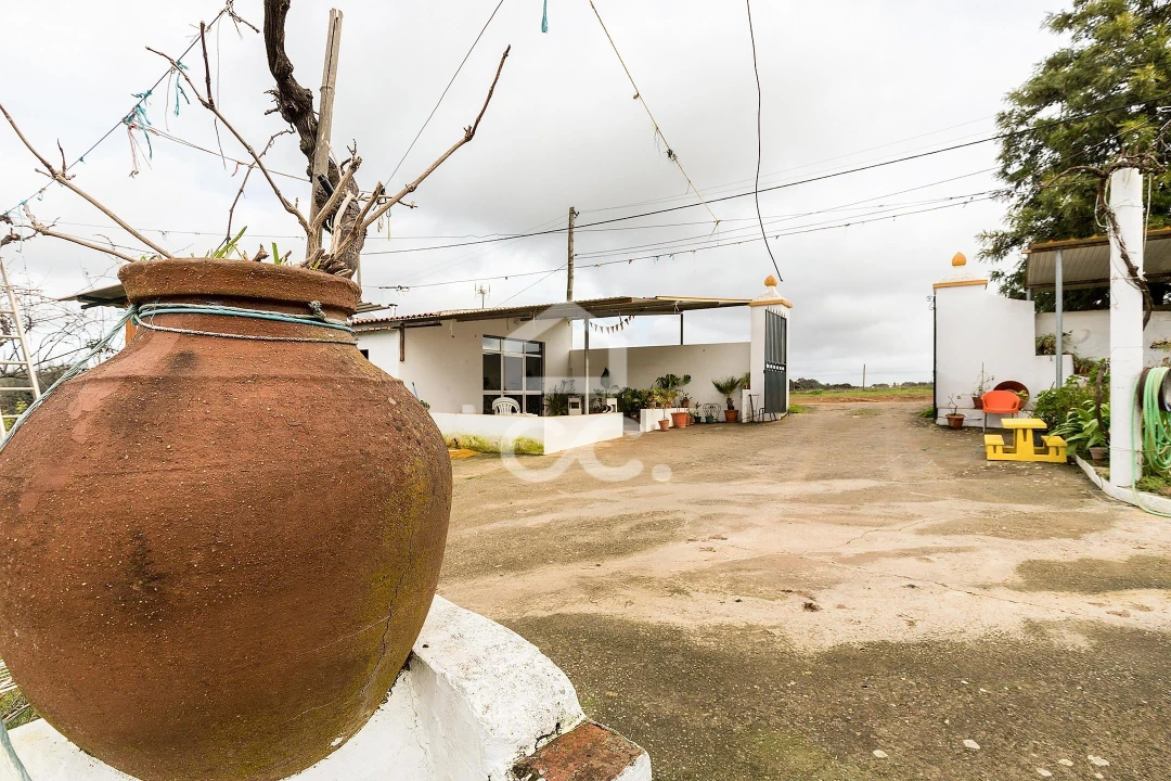 Quinta T7 para Venda em Portel Foto 67