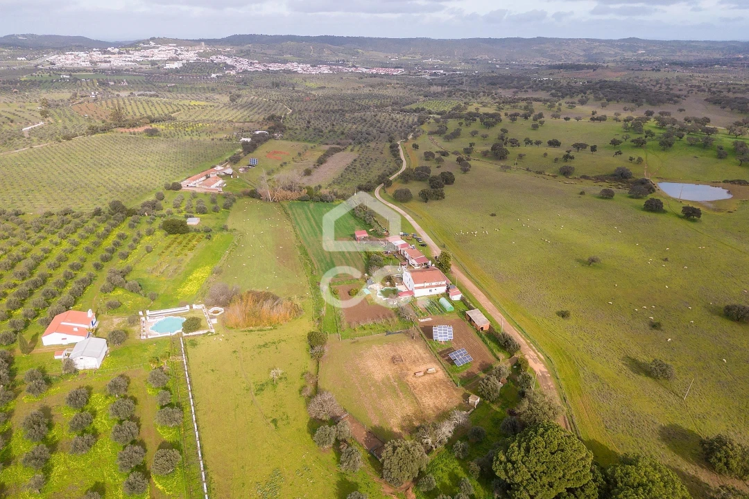 Quinta T7 para Venda em Portel Foto 69