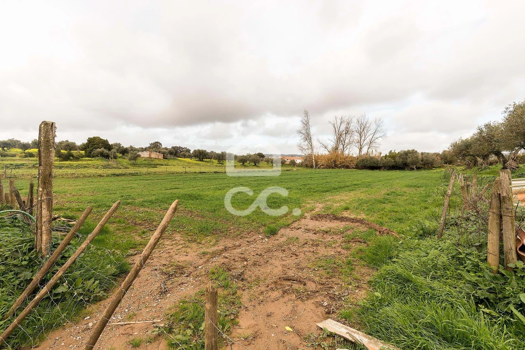 Quinta T7 para Venda em Portel Foto 54