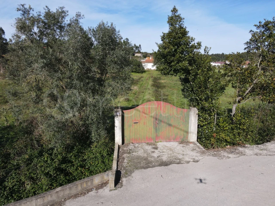 Terreno para Venda em Ramalhal Foto 14