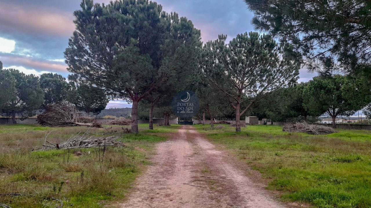 Terreno Agricola ou Rústico para Venda em Fazendas de Almeirim Foto 7