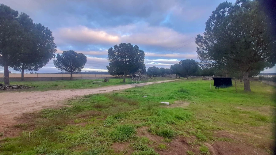 Terreno Agricola ou Rústico para Venda em Fazendas de Almeirim Foto 6