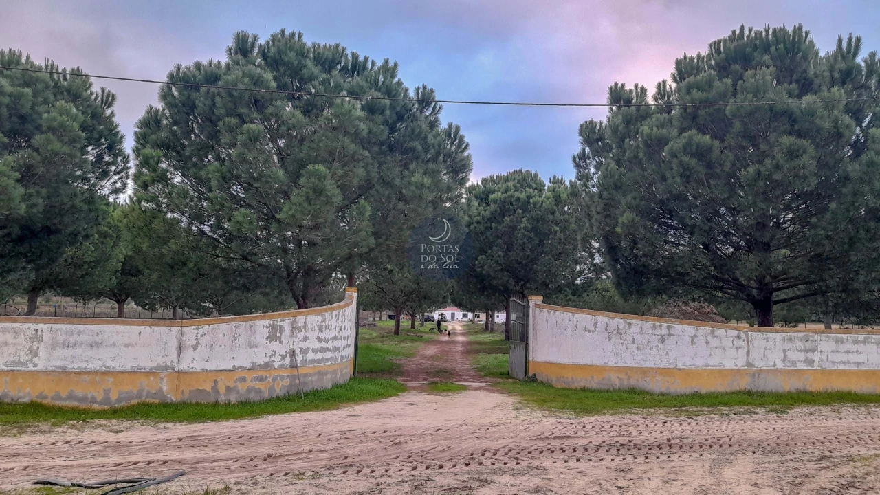 Terreno Agricola ou Rústico para Venda em Fazendas de Almeirim Foto 1