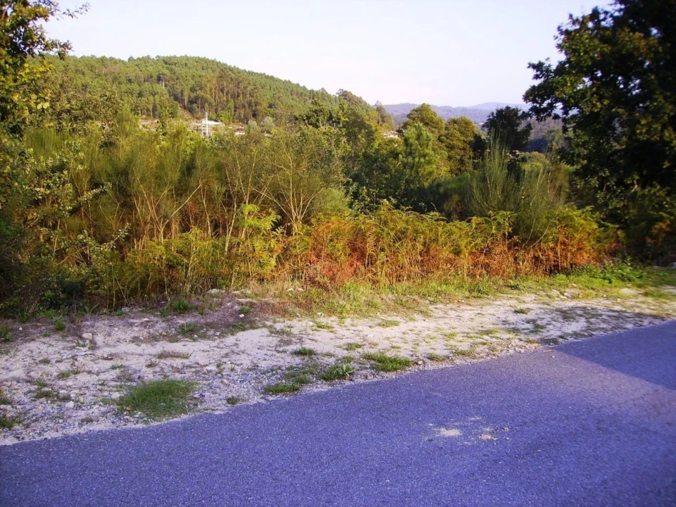 Moradia T0 para Venda em Paredes de Coura e Resende Foto 6