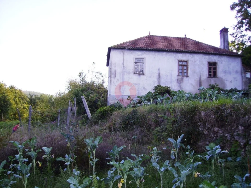 Moradia T0 para Venda em Paredes de Coura e Resende Foto 2