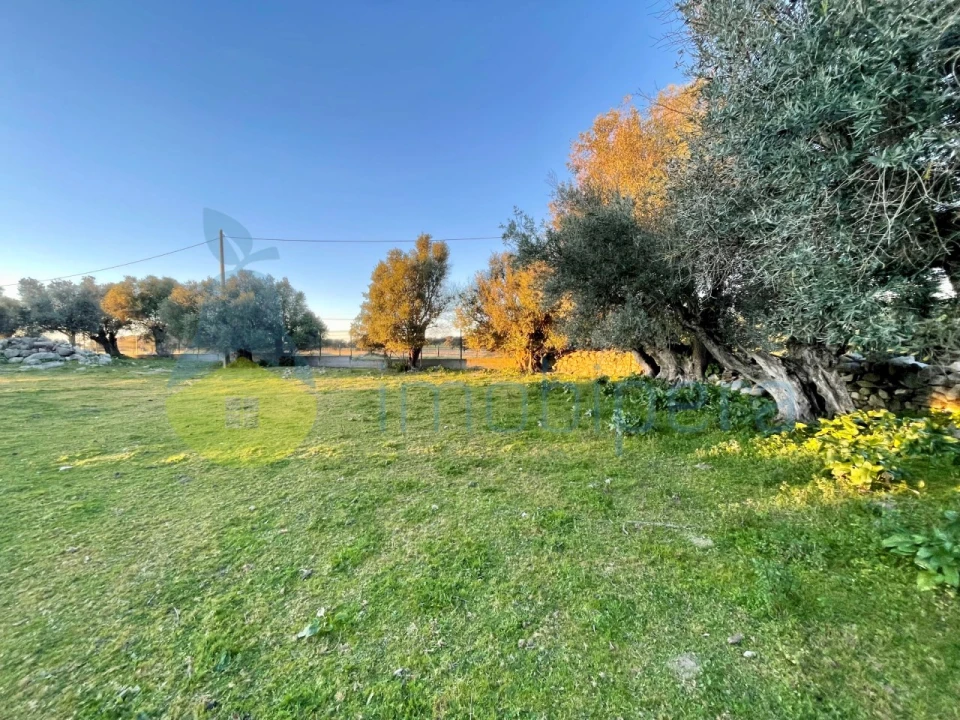 Quinta T18 para Venda em Redondo Foto 4