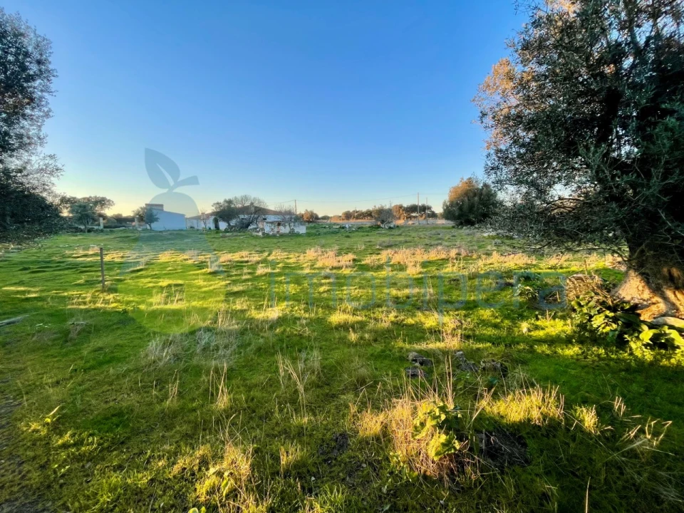 Quinta T18 para Venda em Redondo Foto 6