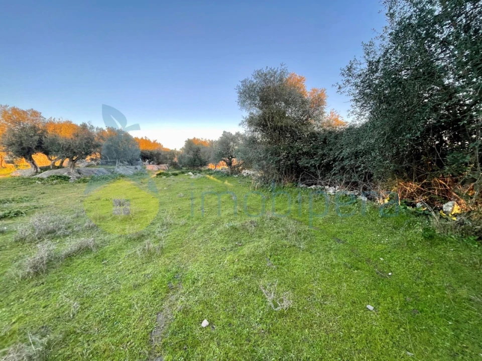 Quinta T18 para Venda em Redondo Foto 7